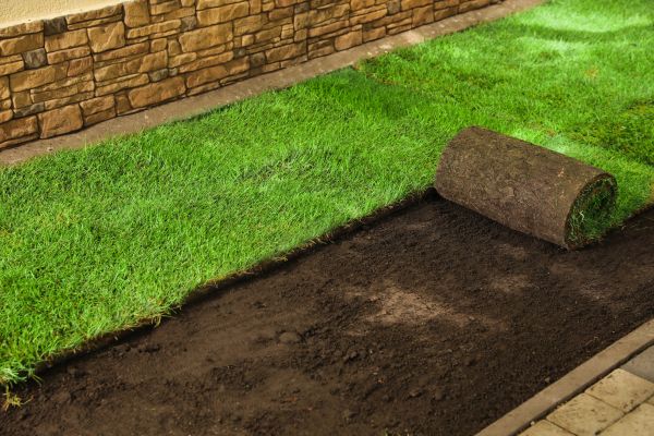 Lawn Installation Service