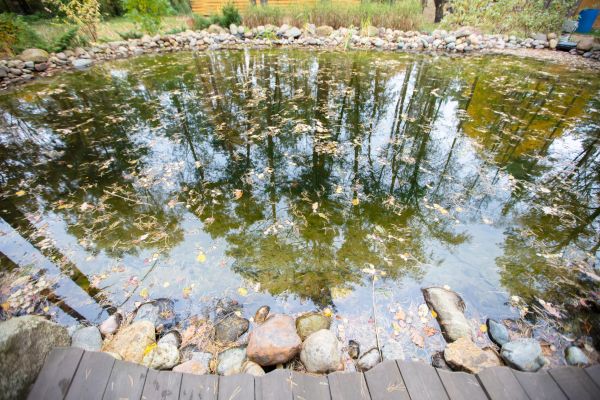 Pond Remodeling