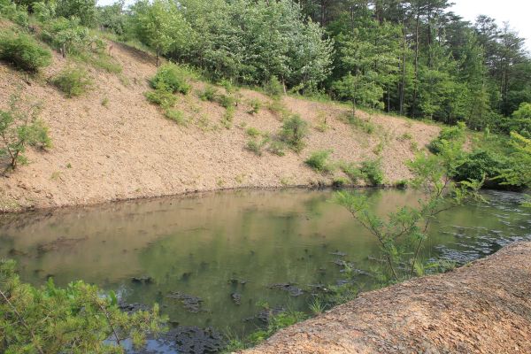 Pond Erosion Repair in Post Falls