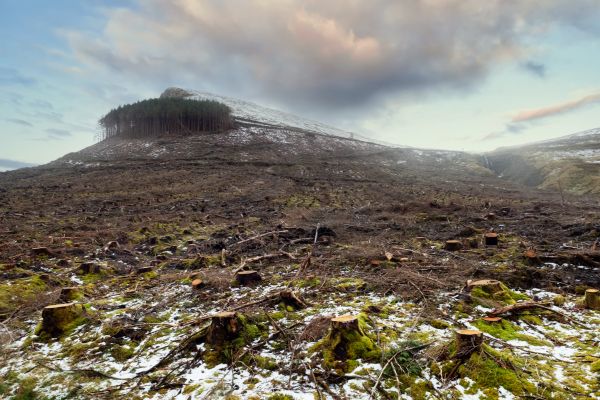 Cost of Hill Removal in Post Falls